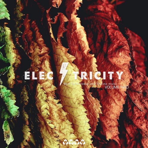 Electricity, Vol. 2 (2016)