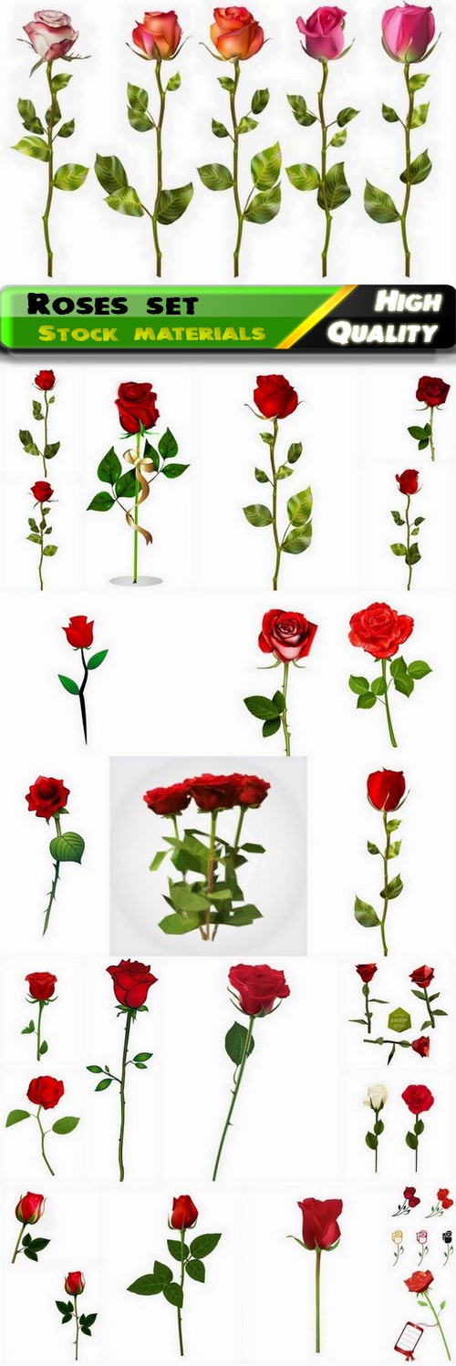 Realistic red roses illustrations - 25 Eps