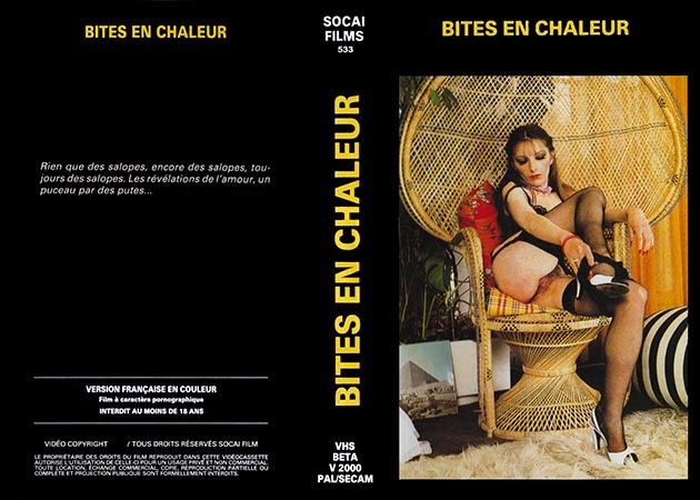 Bites En Chaleur / Cocktail porno (Alain Payet, Socai) [1976 ., VHSRip]