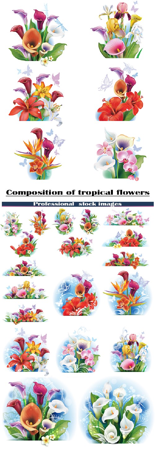 Композиции из тропических цветов