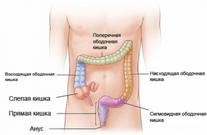 Проблемы с кишечником: симптомы и лечение