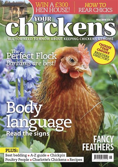 Your Chickens - May 2016
