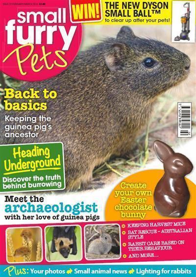 Small Furry Pets - February-March 2016