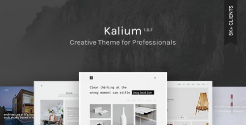 NULLED Kalium v1.8.9.1 - Creative Theme for Professionals visual