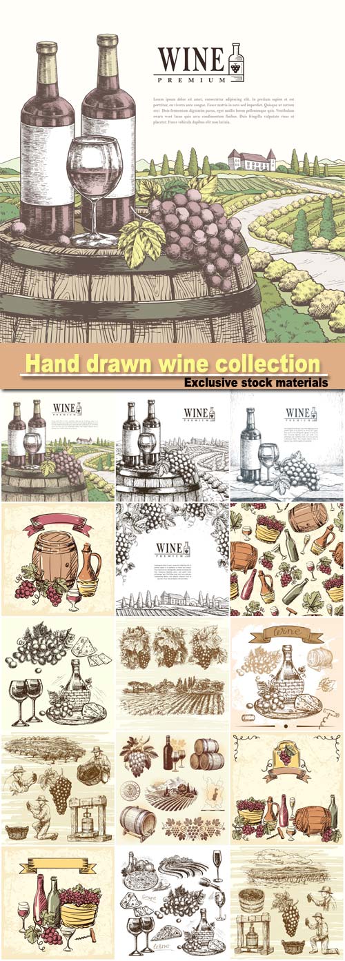 Hand drawn illustration wine collection