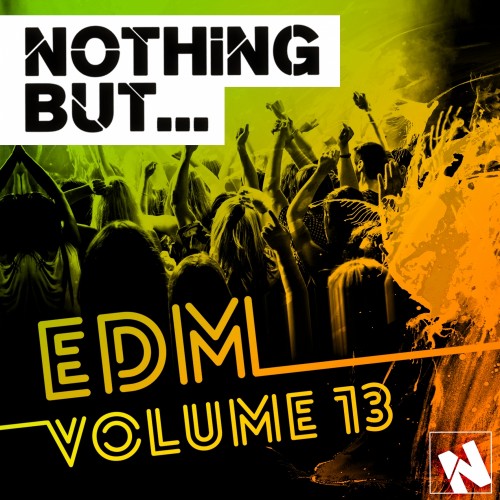 Nothing But... EDM, Vol. 13 (2016)