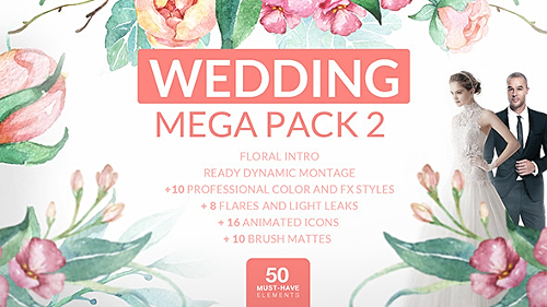 Wedding Mega Pack 2 - Project for After Effects (Videohive)