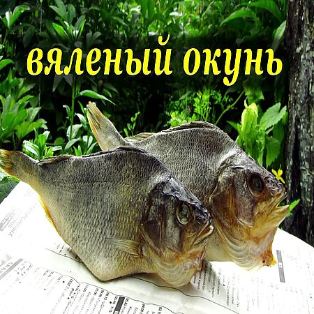 Окунь. Вяление рыбы в домашних условиях (2016) WEBRip