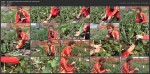 Как размножать клубнику садовую землянику (2016) WEBRip