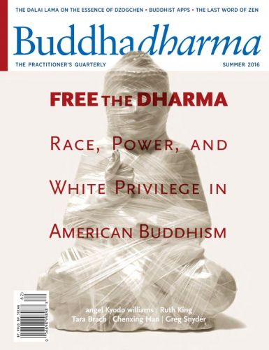 Buddhadharma - Summer 2016!