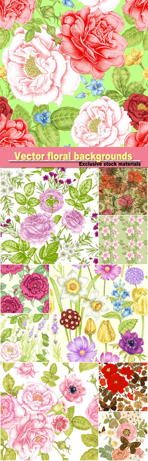 Vector floral backgrounds, butterflies and flowers