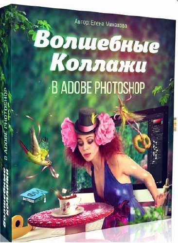   Adobe Photoshop.  (2016)