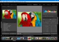 Adobe Photoshop Lightroom CC 2015.6.1 (6.6.1) Final RePack by KpoJIuK