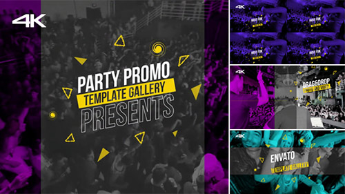 Party Promo 16882692 - Project for After Effects (Videohive)