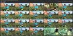 Как вырастить цветную капусту. Сиреневая цветная капуста (2016) WEBRip