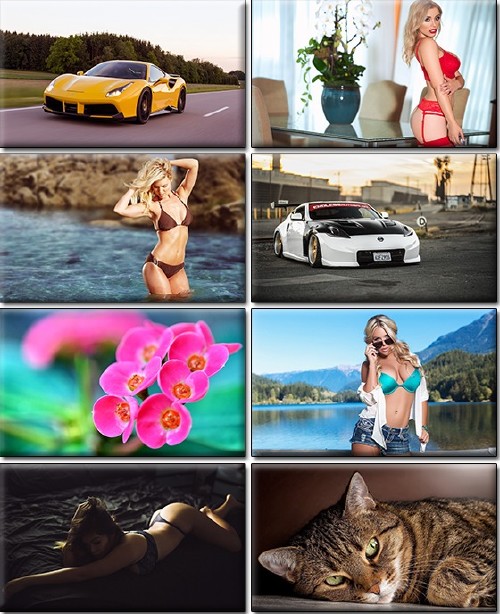 LIFEstyle News MiXture Images. Wallpapers Part (1043)