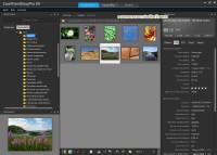 Corel PaintShop Pro X9 19.0.1.8 + Content