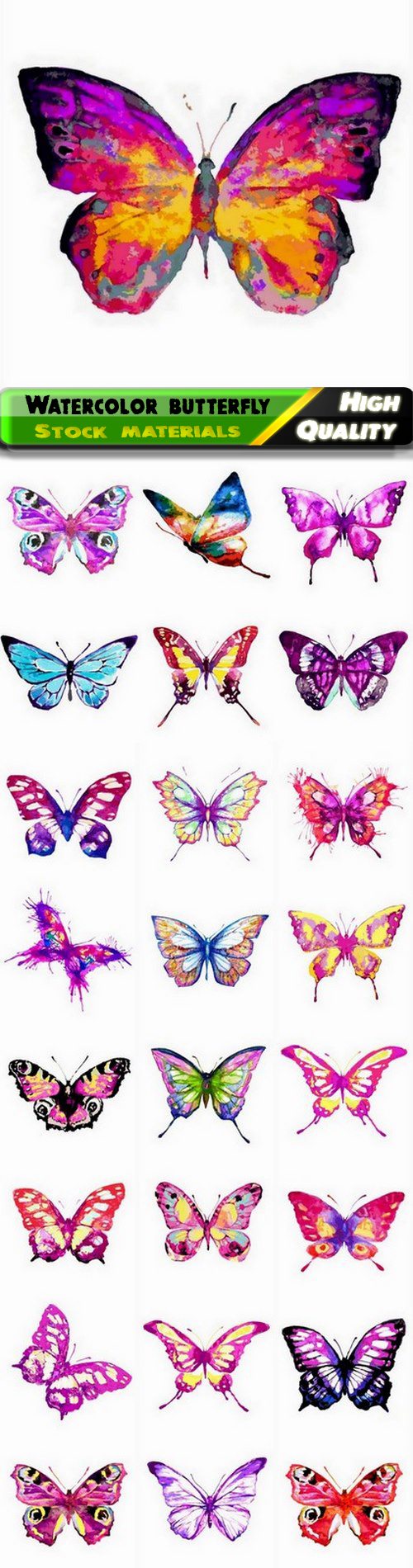 Cute illustration of watercolor art insect butterfly - 25 Eps