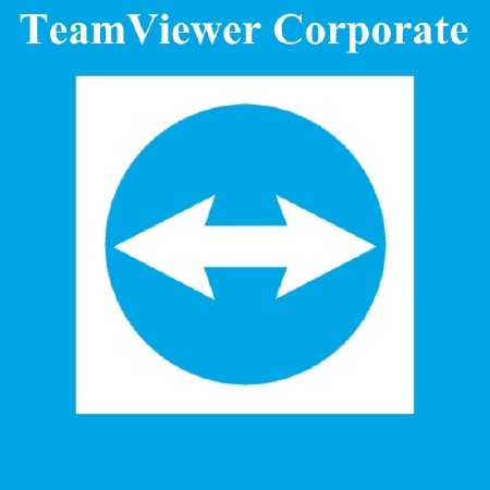 TeamViewer Corporate 12.0.88438 Final + Portable