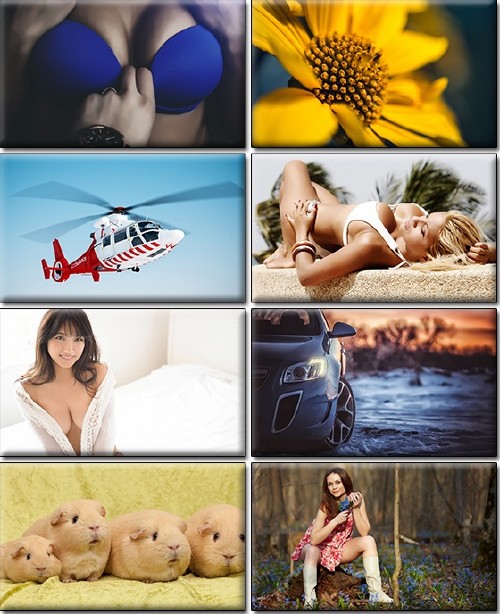 LIFEstyle News MiXture Images. Wallpapers Part (1051)