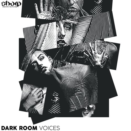 Function Loops - Dark Room Voices (WAV)