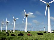 ДТЭК и General Electric будут строить вторую очередь Приморской ветроэлектростанции / Новинки / Finance.ua
