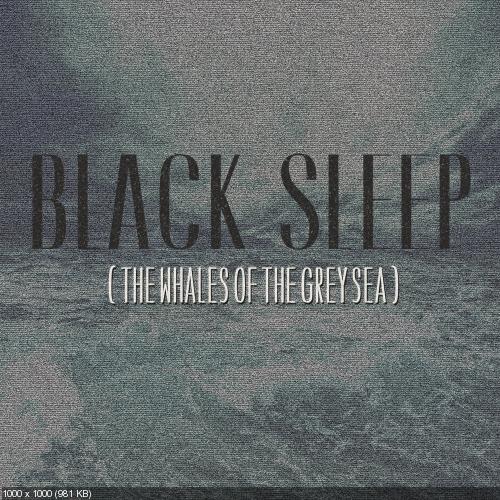 Black Sleep - The Whales of the Grey Sea (2016)